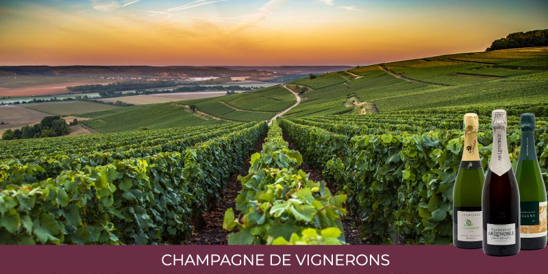 Winegrowers' Champagne